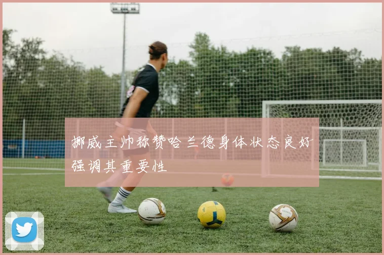 挪威主帅称赞哈兰德身体状态良好强调其重要性