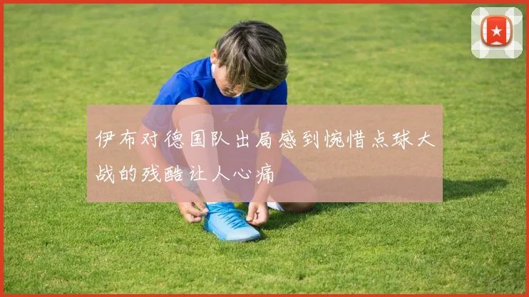 伊布对德国队出局感到惋惜点球大战的残酷让人心痛