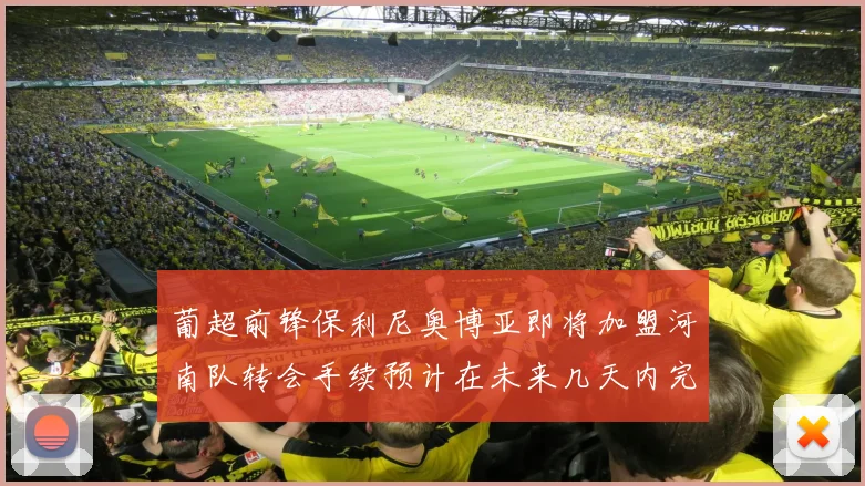 葡超前锋保利尼奥博亚即将加盟河南队转会手续预计在未来几天内完成